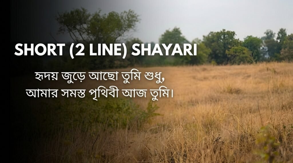 Short (2 Line) Shayari in Bangla